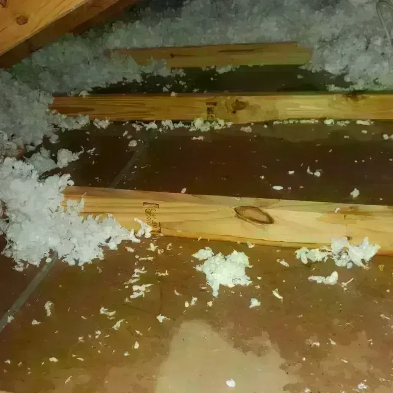 Attic Water Damage in Pearl River, NY